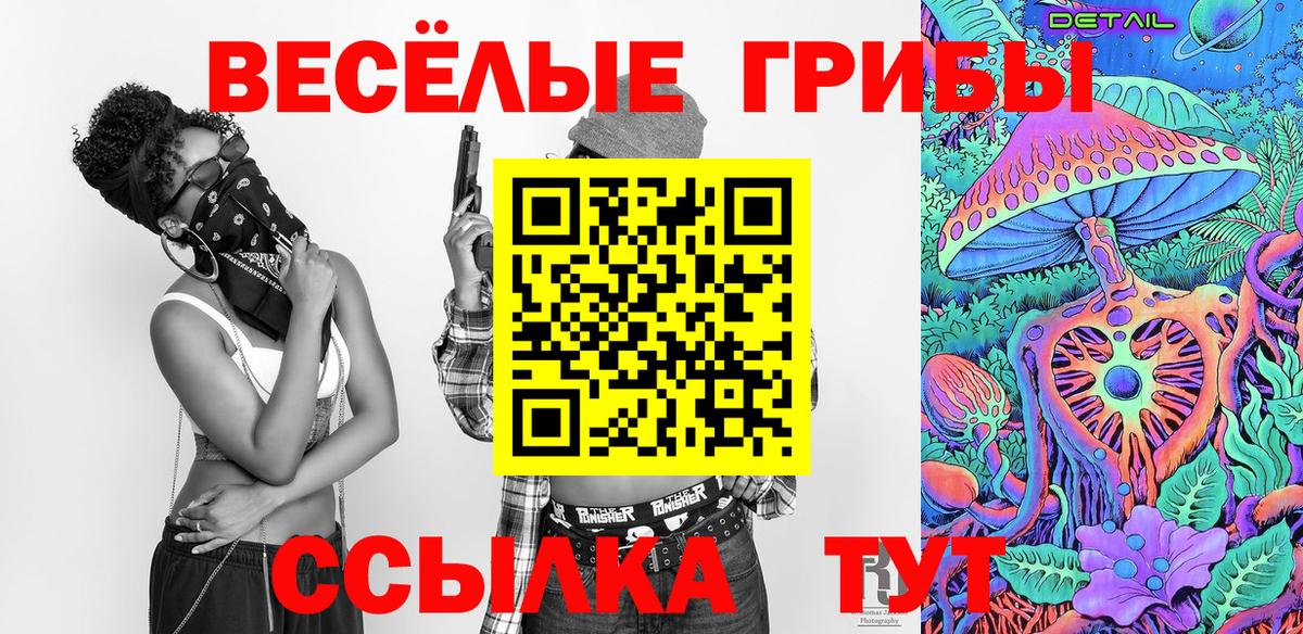 Галлюциногенные грибы Cubensis Каспийск