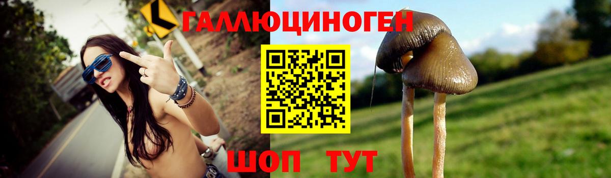Каспийск  Псилоцибиновые грибы мицелий  Галлюциногенные грибы Psilocybe  Вход с VPN 